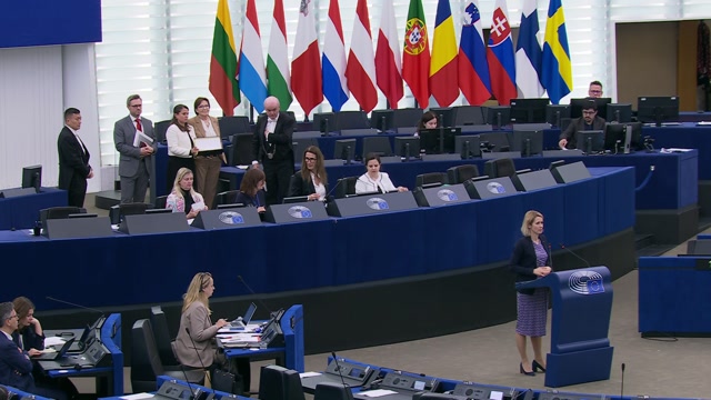 Europe’s response to reduced US military deployments in Europe in the light of the latest US decisions: Closing statement by Kaja KALLAS, High Representative of the Union for Foreign Affairs and Security Policy and Vice-President of the EC